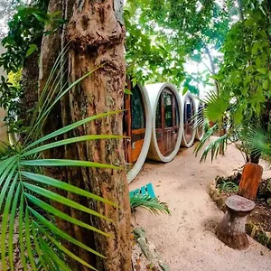 Auberge de jeunesse Tubo